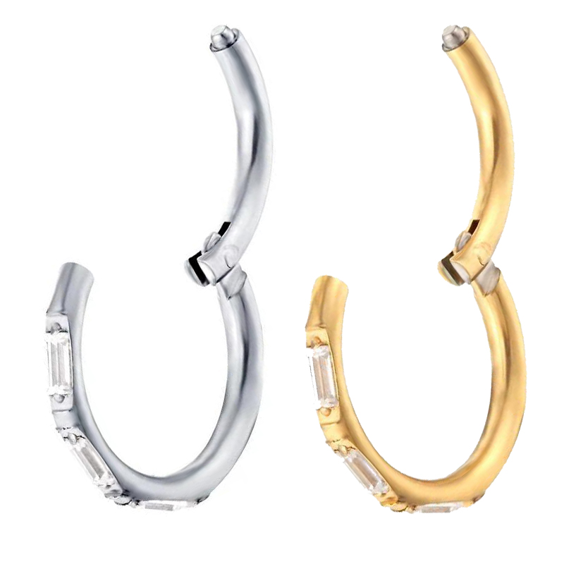 ASTM F136 Titanium Earrings Hi - Body Jewelry Quality avaliação e preço