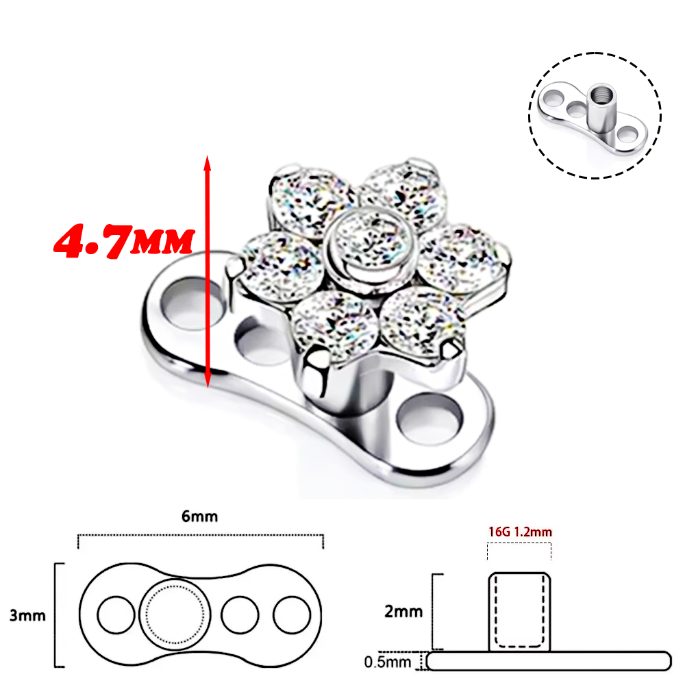 F136 Titanium Alloy High-Quali - Body Jewelry Quality avaliação e preço